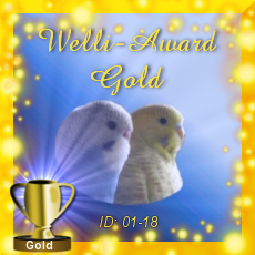 Gold bei Tines Welli-Award ID 01-18